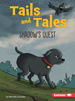 cover image of Shadow's Quest
